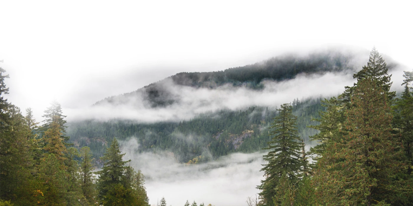 foggy-mountain-range-with-trees