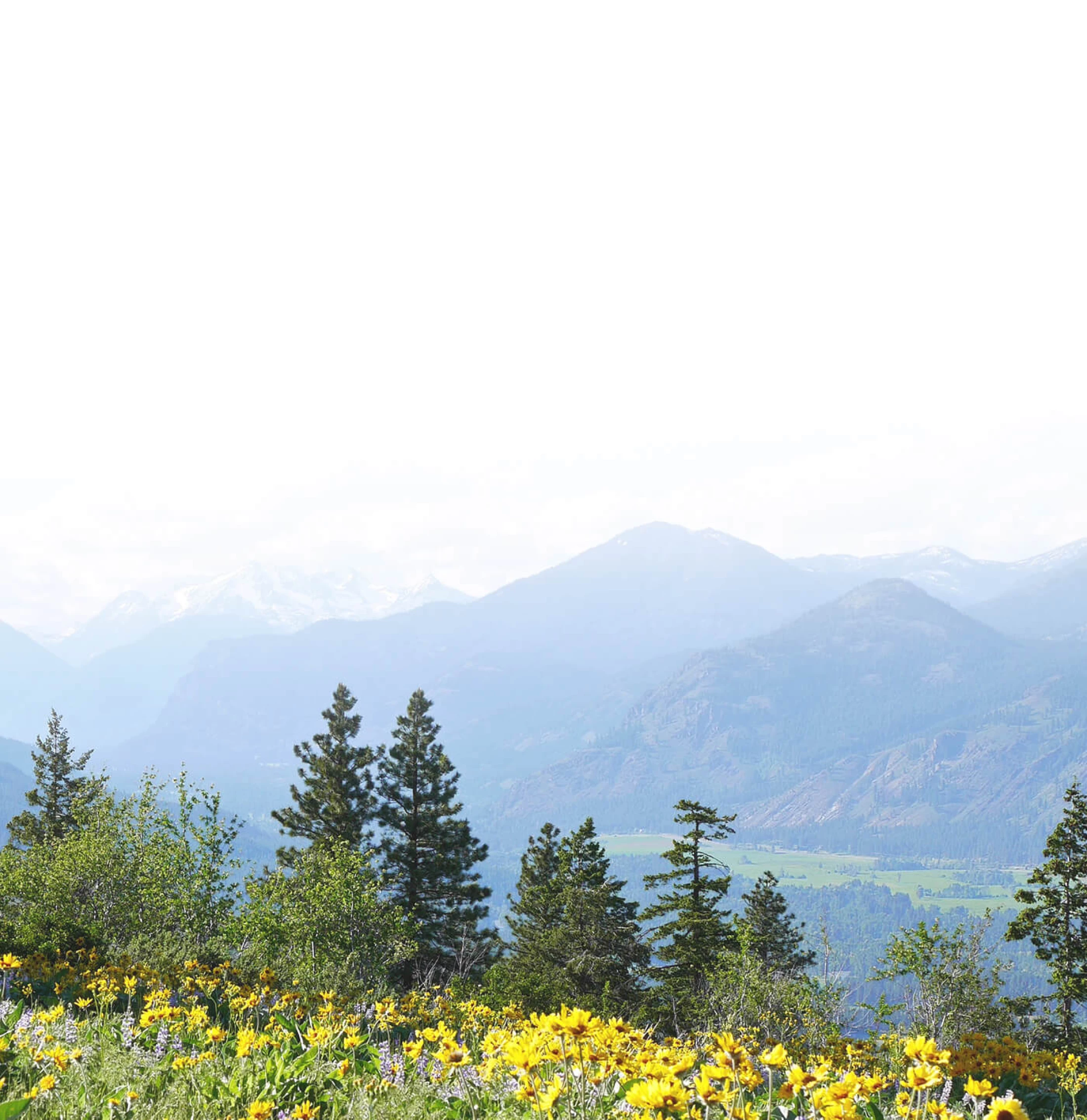 mountain-valley-view