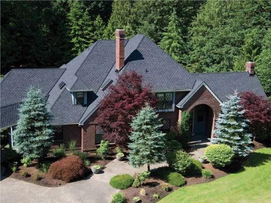 original-40-1439-paramount-antique-black-pdx-residence-4x3-1_low_res