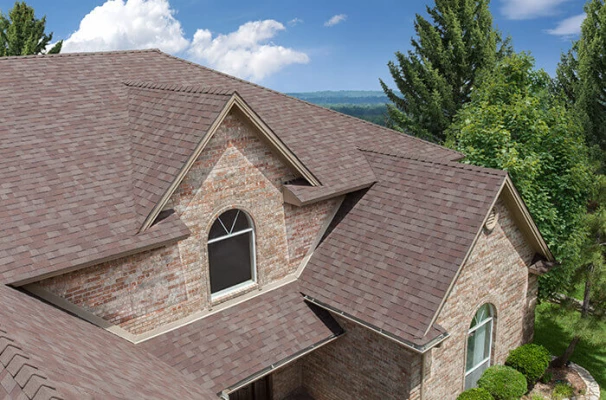 original-223-1057-1432161829-legacy_heather_1