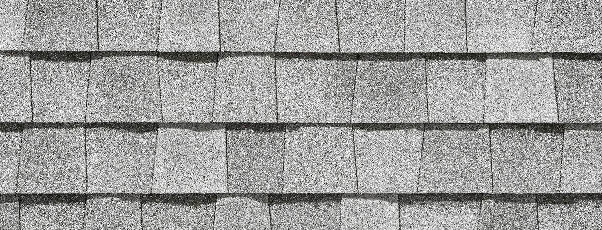 original-305-1873-lmsol-silverbirch_1200x460_2