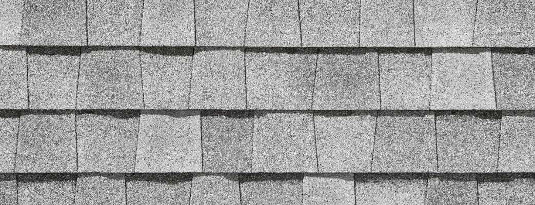 original-305-1873-lmsol-silverbirch_1200x460_2